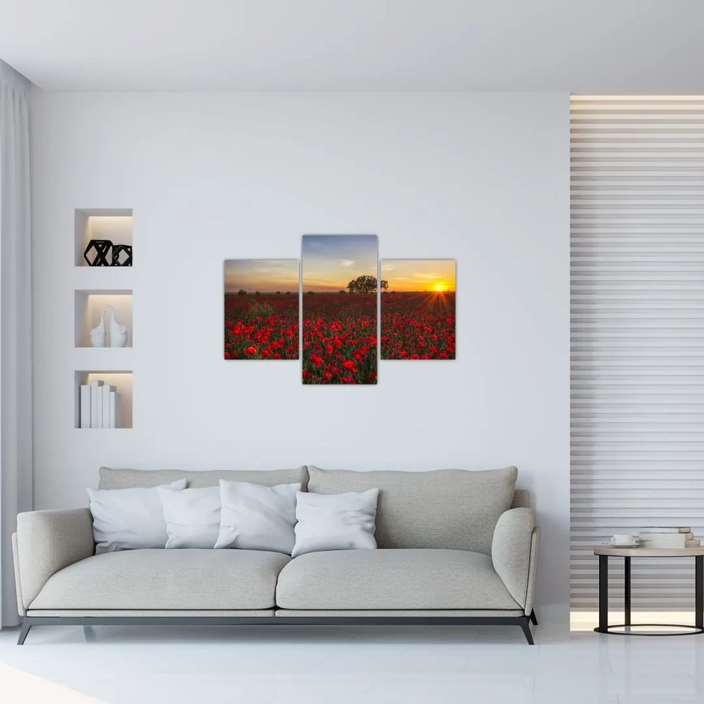 Tablou cu lunca și macii (90x60 cm)