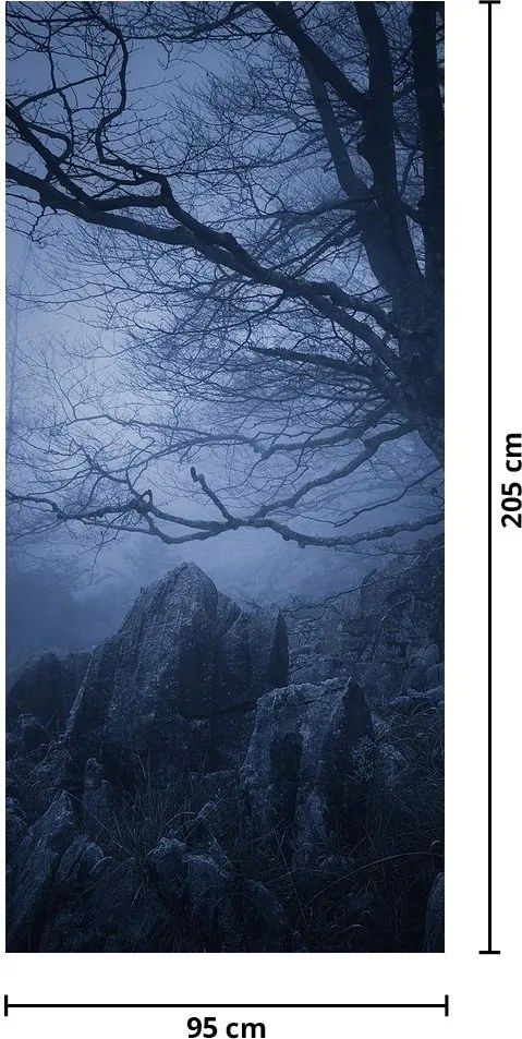 Fototapet pentru ușă - Pădurea întunecată (95x205cm)