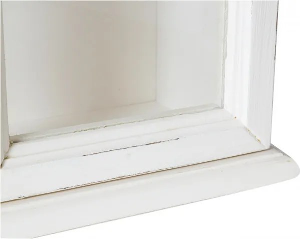 Vitrina suspendata, L48 17 H57 cm