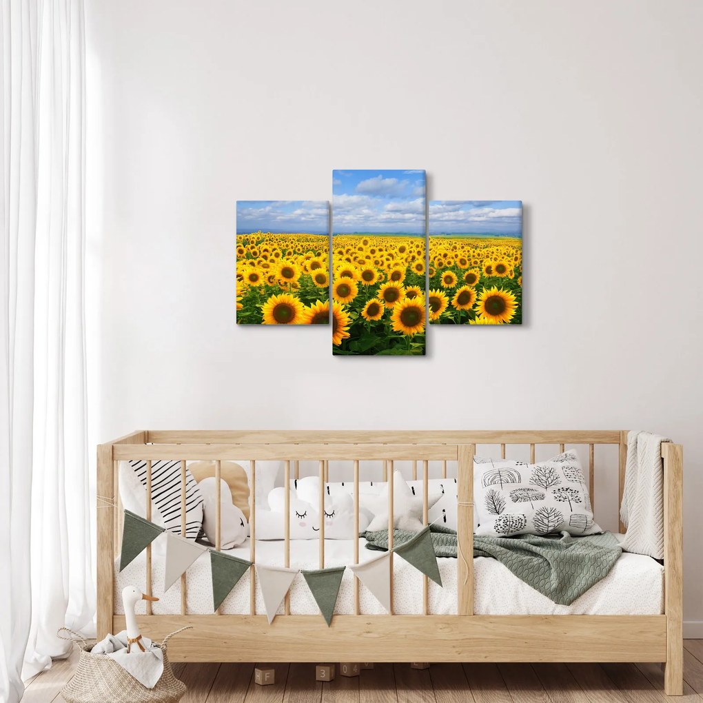 Tablou cu lan de floarea soarelui (90x60 cm)