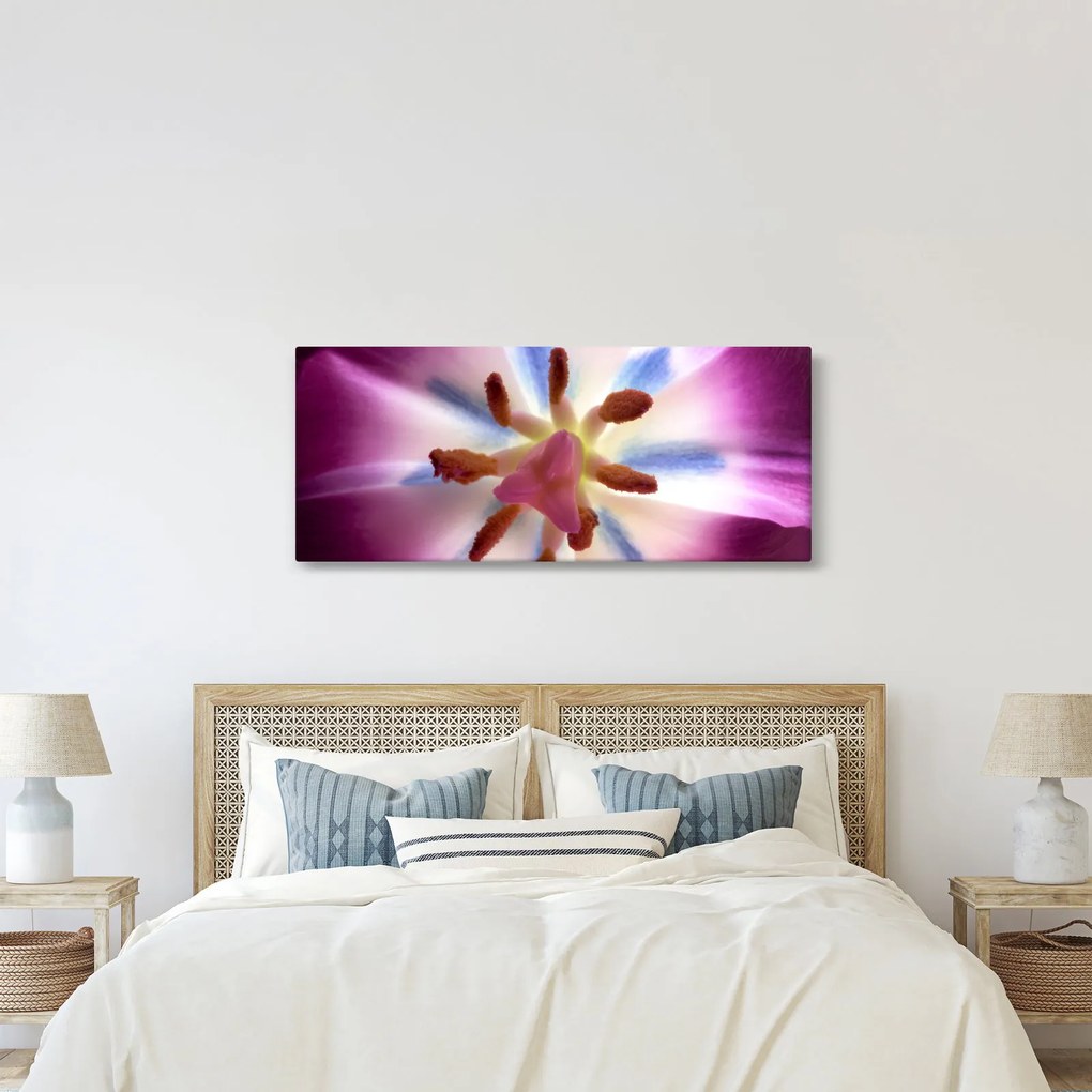 Tablou - Laleaua detailat (120x50 cm)