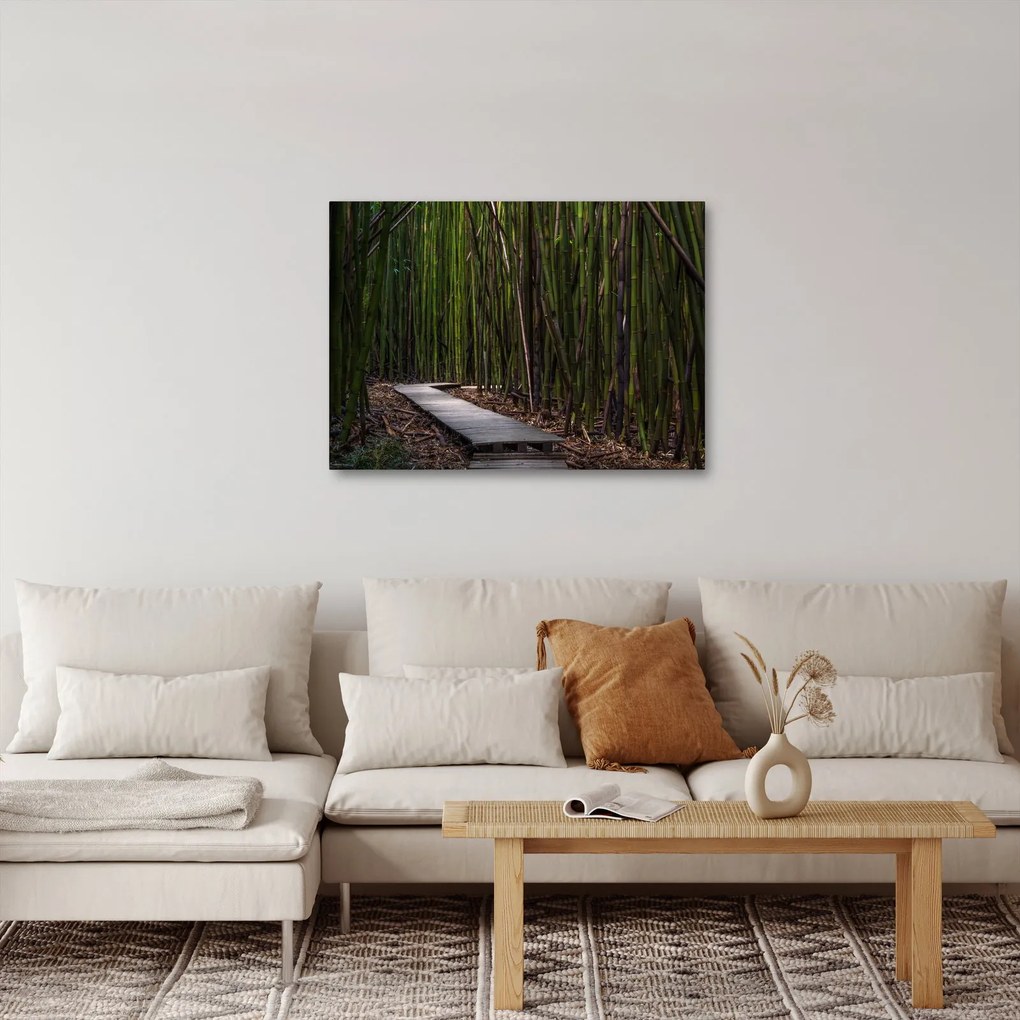 Tablou - Între bambus (70x50 cm)
