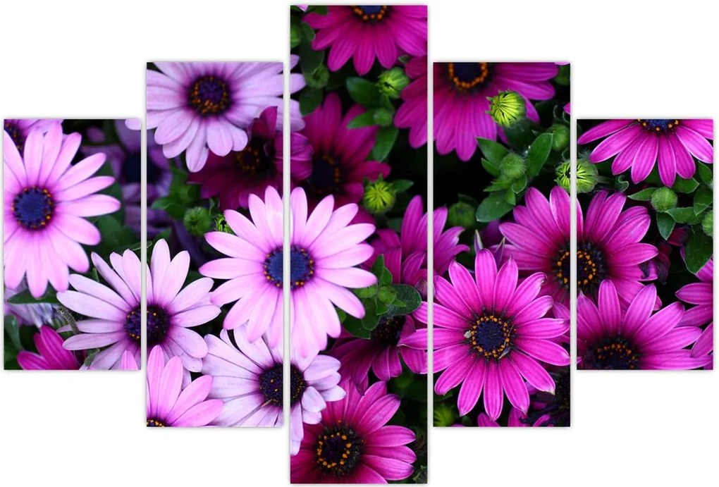 Tablou - Flori (150x105 cm)