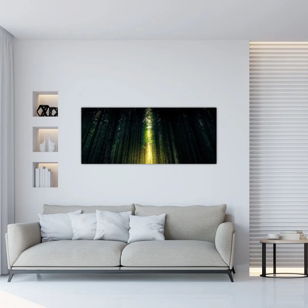 Tablou cu pădurea întunecată (120x50 cm)