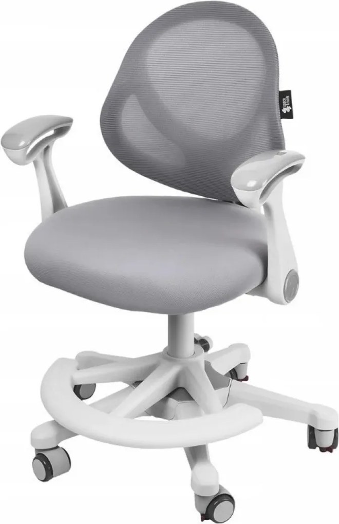 FlexGrow Junior YB1059 - Scaun Ergonomic pentru Copii, spatar reglabil, cotiere reglabile, inaltime reglabila, suport picioare ajustabil, Mesh, Gri