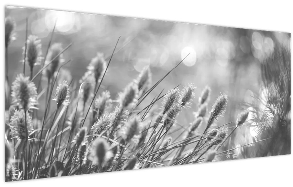 Tablou - Iarbă moale bej N⁰1 (120x50 cm)