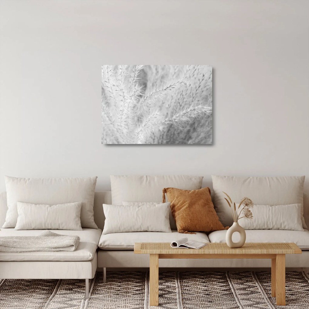 Tablou pe sticlă - Iarbă de pampas N⁰1 (70x50 cm)