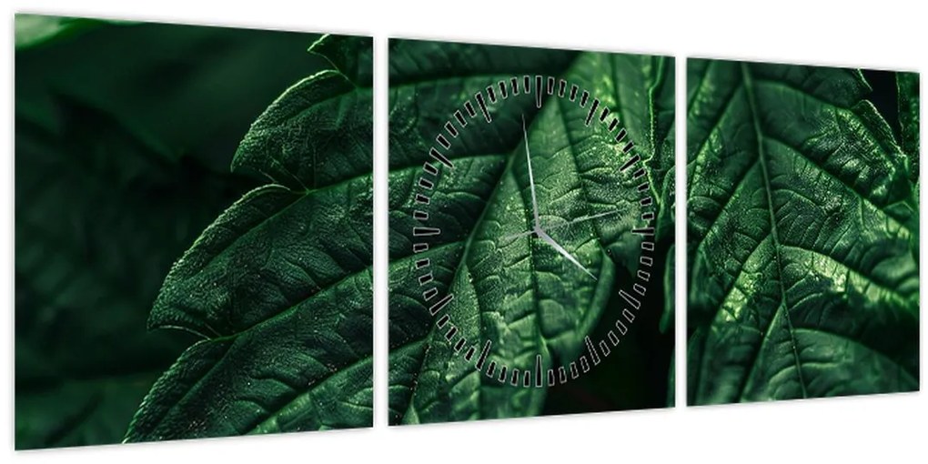 Tablou - Detaliu al foii (cu ceas) (90x30 cm)