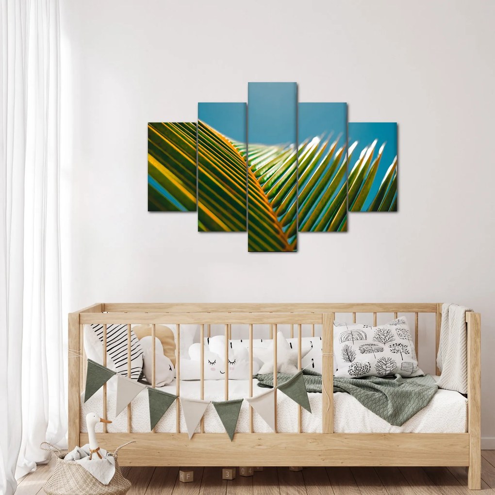 Tablou - Frunze de palmier (150x105 cm)