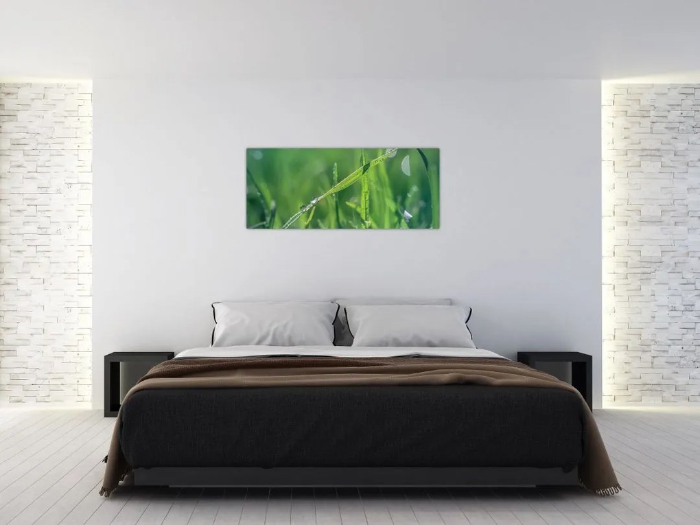 Tablou cu picături de rouă (120x50 cm)