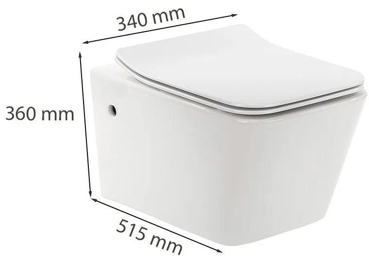 Toaletă fără ramă, montată pe perete, Tina