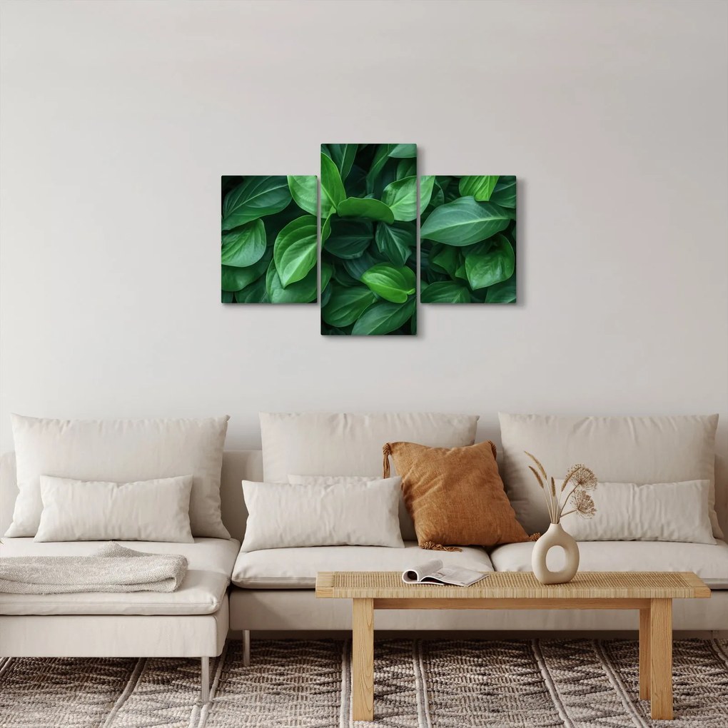 Tablou - Frunze verzi (90x60 cm)