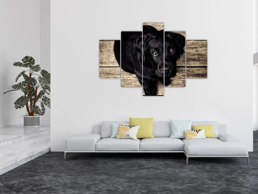 Tablou cu cățeluș negru (150x105 cm)