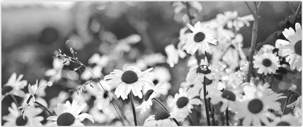 Tablou - Margarete (120x50 cm)