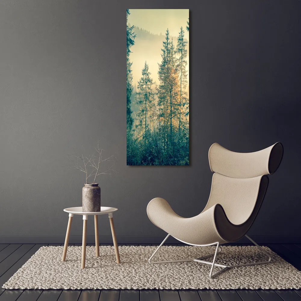 Print pe canvas Ceață peste pădure