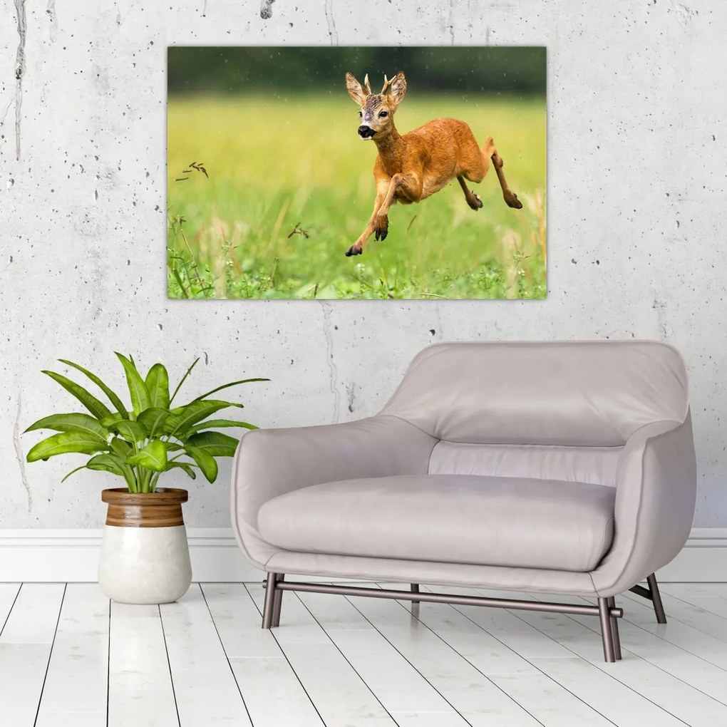 Tablou - Haită (90x60 cm)