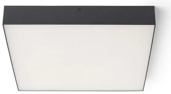 Plafonieră LED LARISA LED/50W/230V neagră RED-Design Rendl-R13490