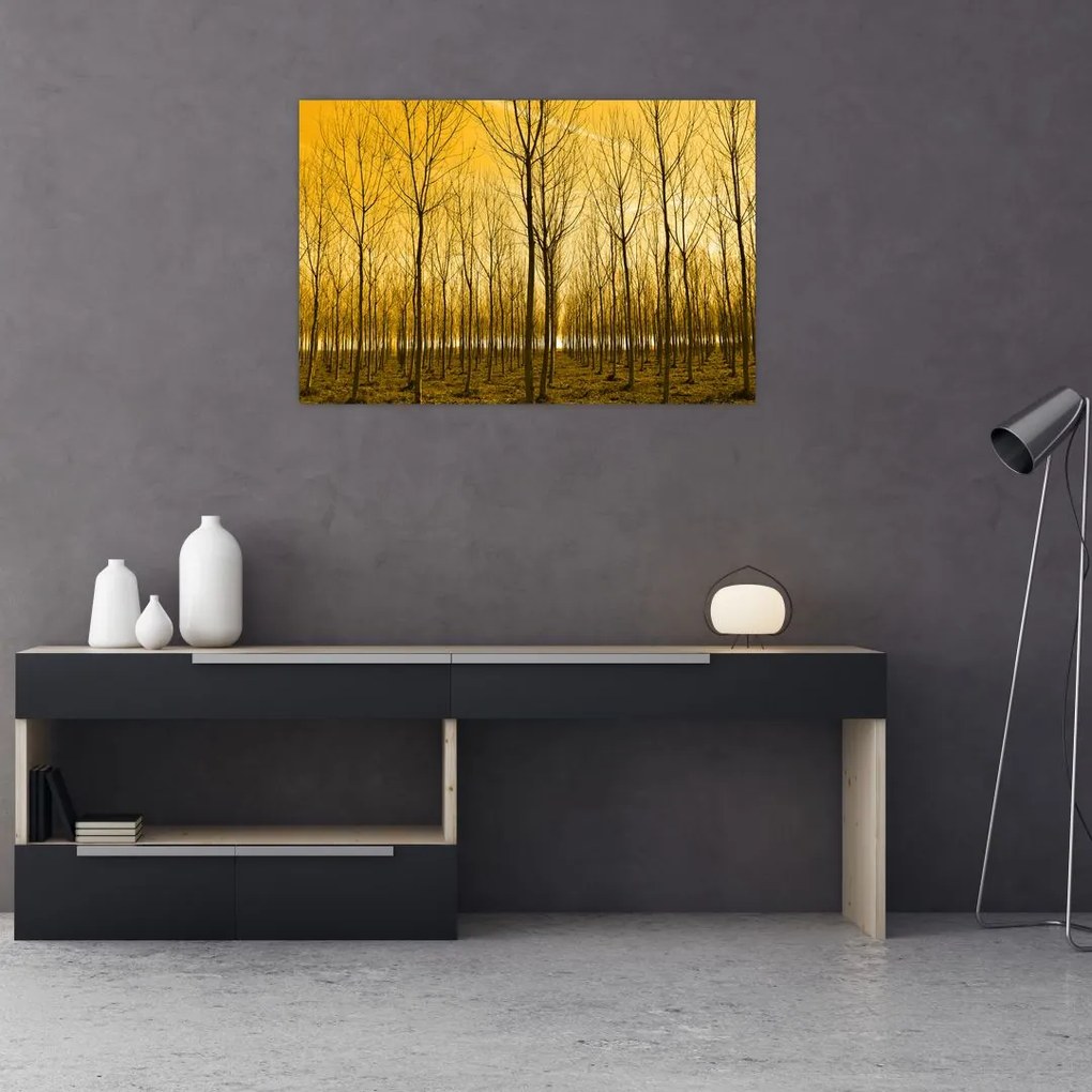 Tablou cu pădure în apus de soare (90x60 cm)