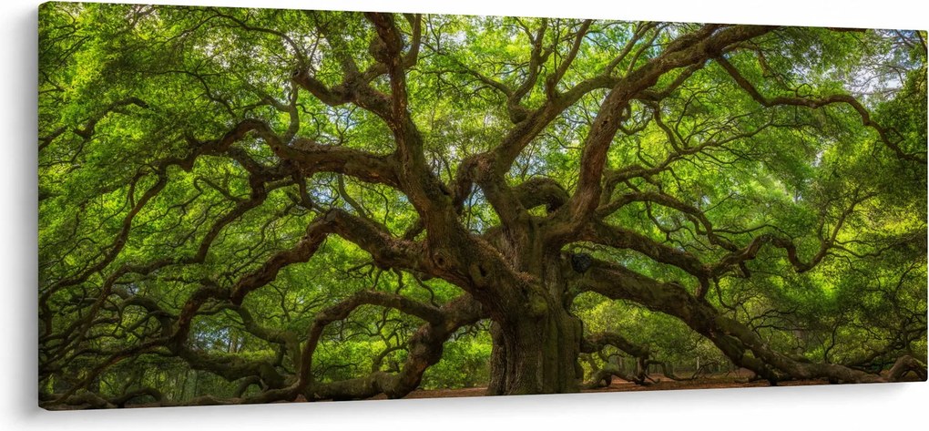 Tablou - Copac verde (120x50 cm)