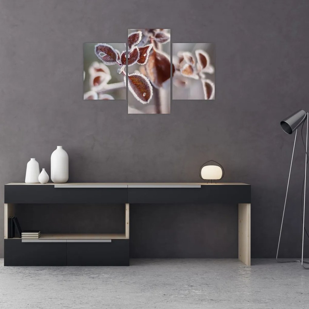 Tablou - Detaliu frunze (90x60 cm)