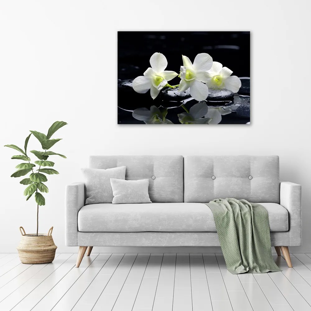 Tablou canvas Orhidee