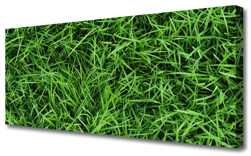 Tablou pe panza canvas Iarbă Lawn Floral Verde