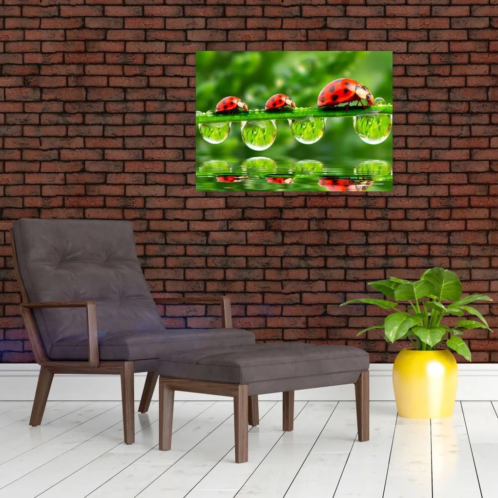 Tablou - Soarele celor șapte sori (70x50 cm)