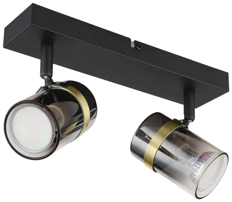 Aplica de perete / tavan 2L design industrial Trabby negru