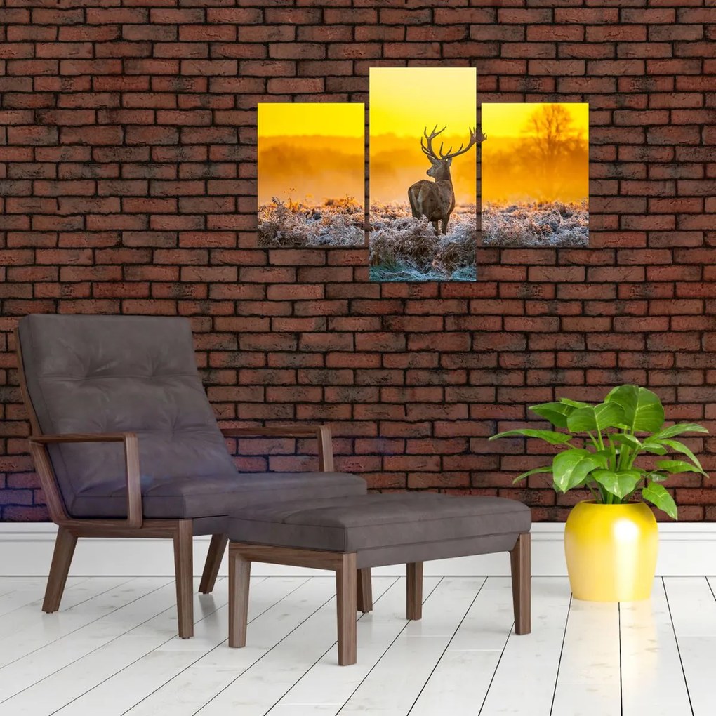 Tablou - Cerb la răsăritul soarelui (90x60 cm)