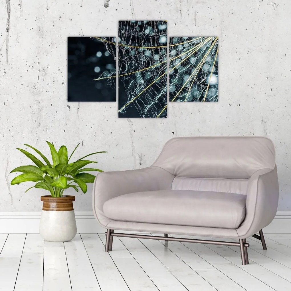 Tablou - Floare cu pânză de pâianjen (90x60 cm)