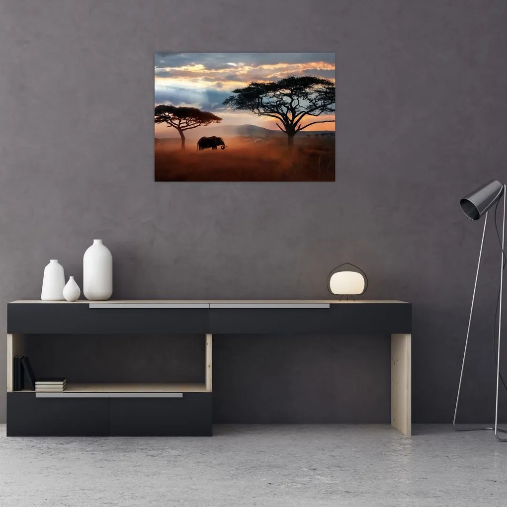 Tablou pe sticlă - Parcul Național Serengeti, Tanzania, Africa (70x50 cm)