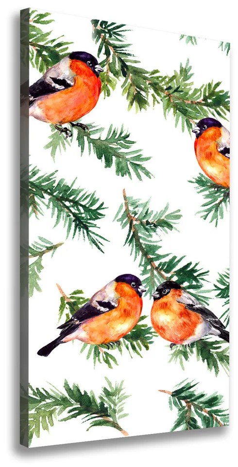 Print pe canvas Robin și conifere