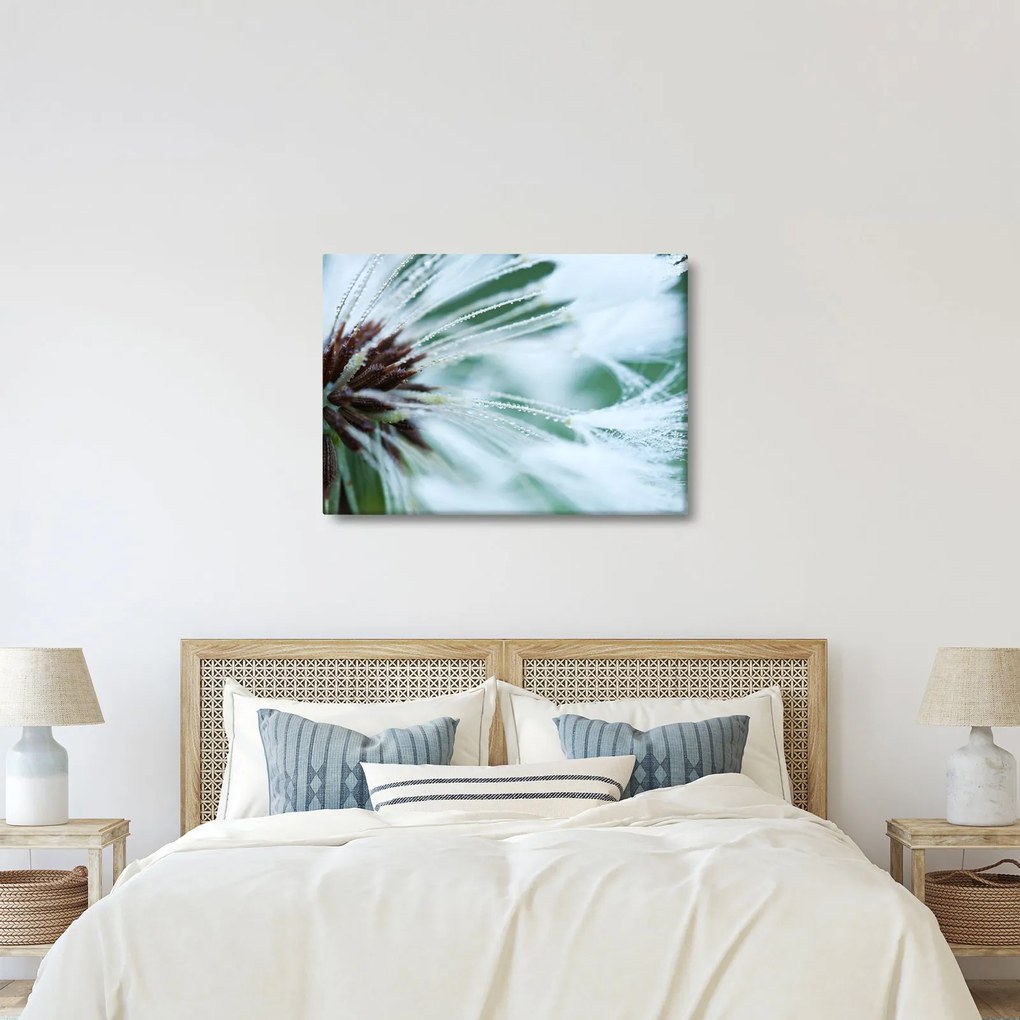 Tablou - Detaliu floare (70x50 cm)