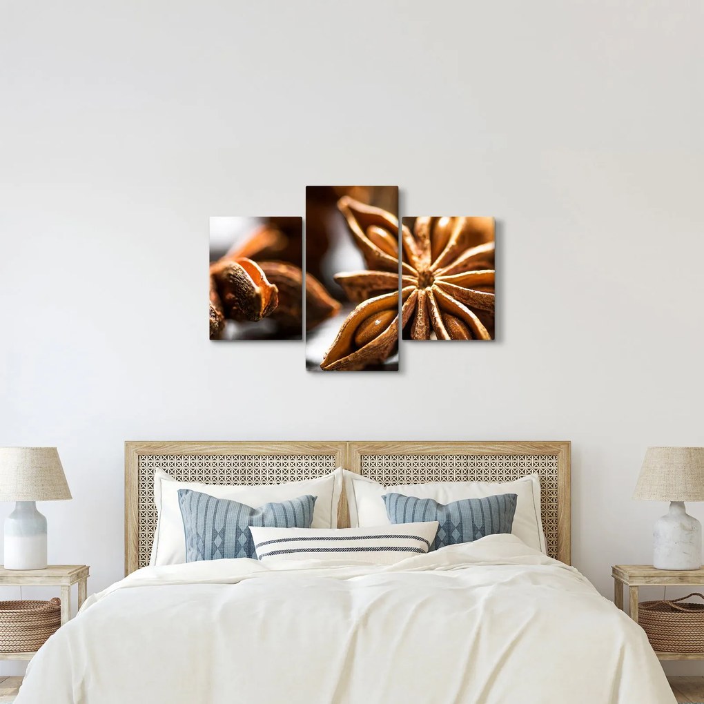 Tablou - Anason (90x60 cm)