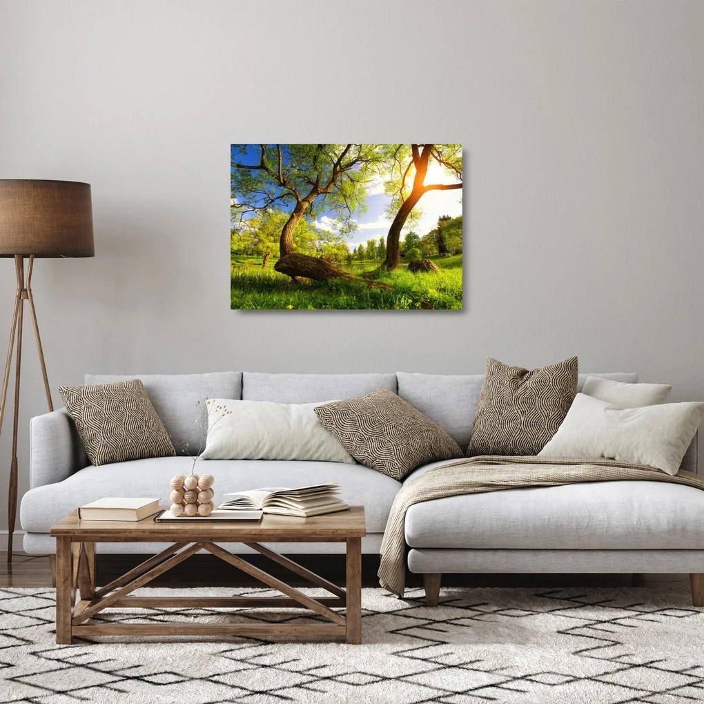Tablou pe sticlă lunca ne primăvară (70x50 cm)