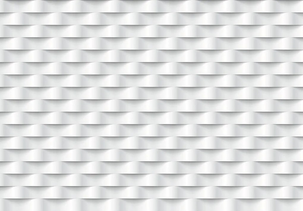 Fototapet - Dungi (254x184 cm)
