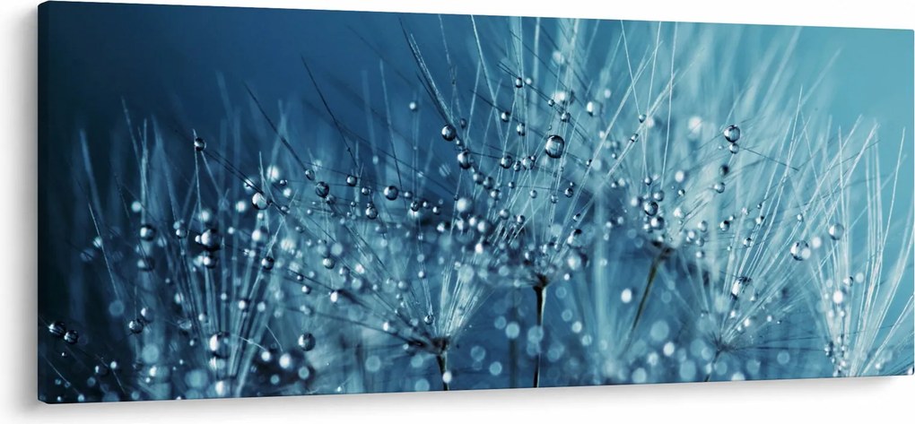 Tablou - Picături de rouă (120x50 cm)