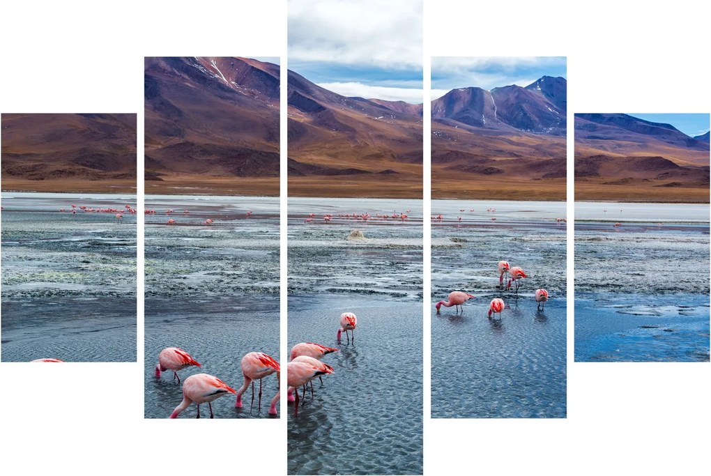 Tablou - Flamingo (150x105 cm)
