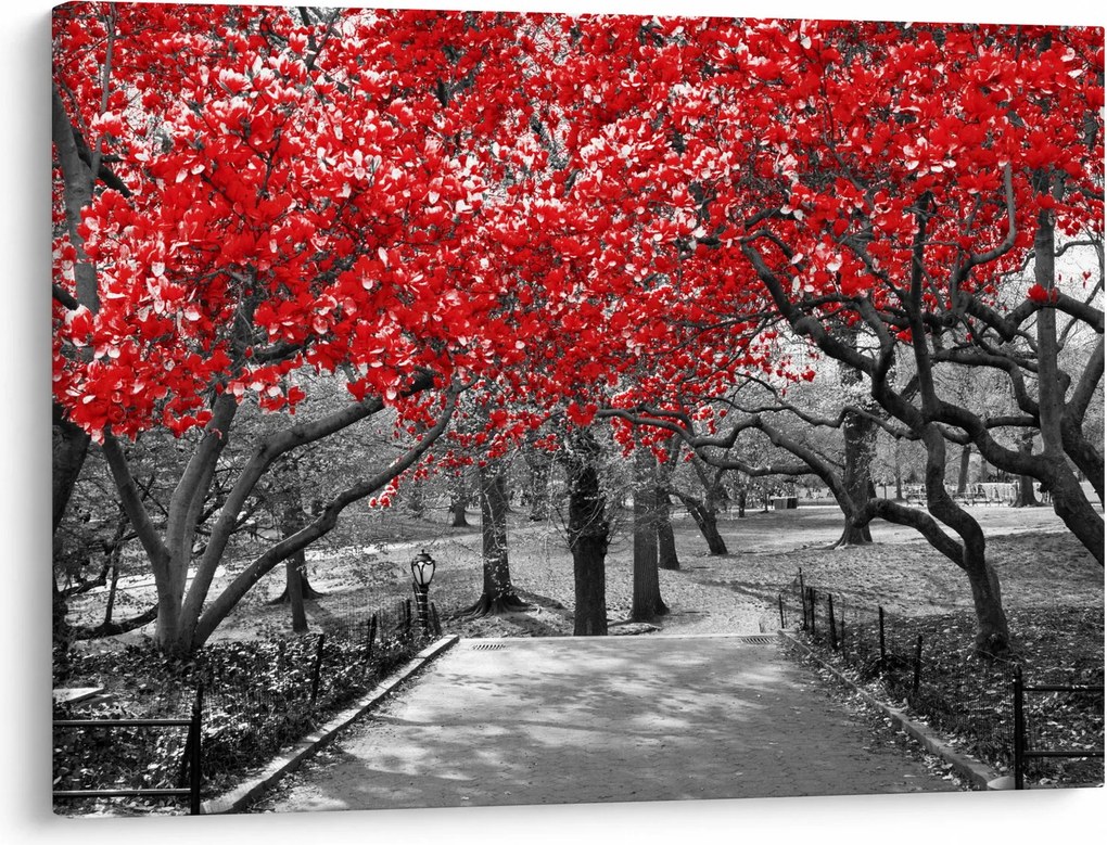 Tablou - Copaci roșii, Central Park, New York (70x50 cm)