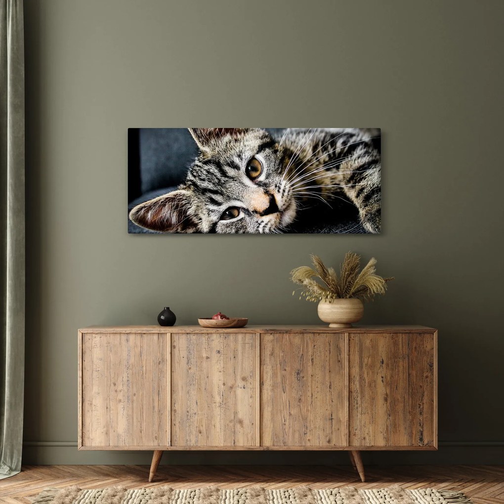 Tablou - Pisoi (120x50 cm)