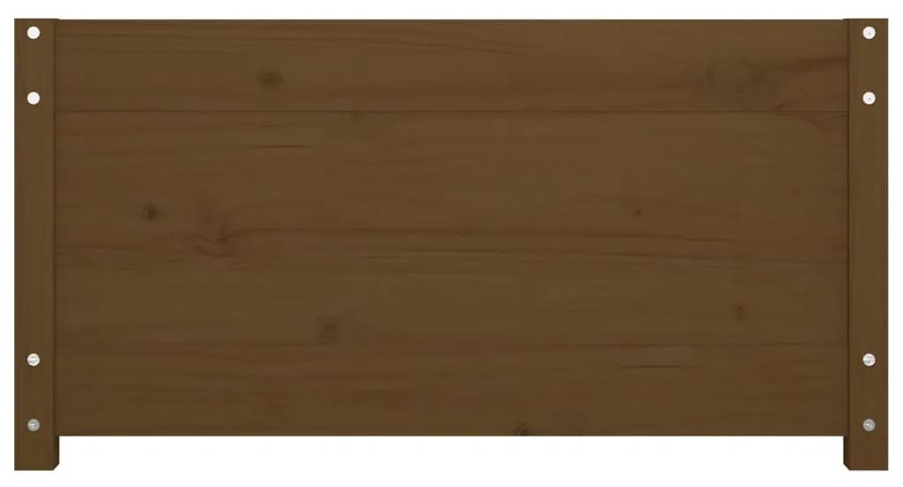 Pat de zi Small Single 2FT6, Maro, 75x190 cm, lemn masiv pin