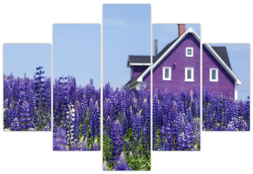 Tablou cu câmp de lavanda (150x105 cm)