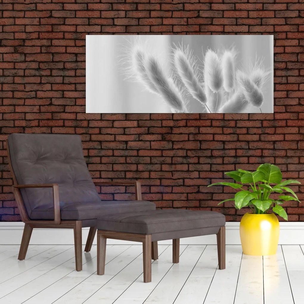 Tablou - Iarbă de coadă de iepure (120x50 cm)