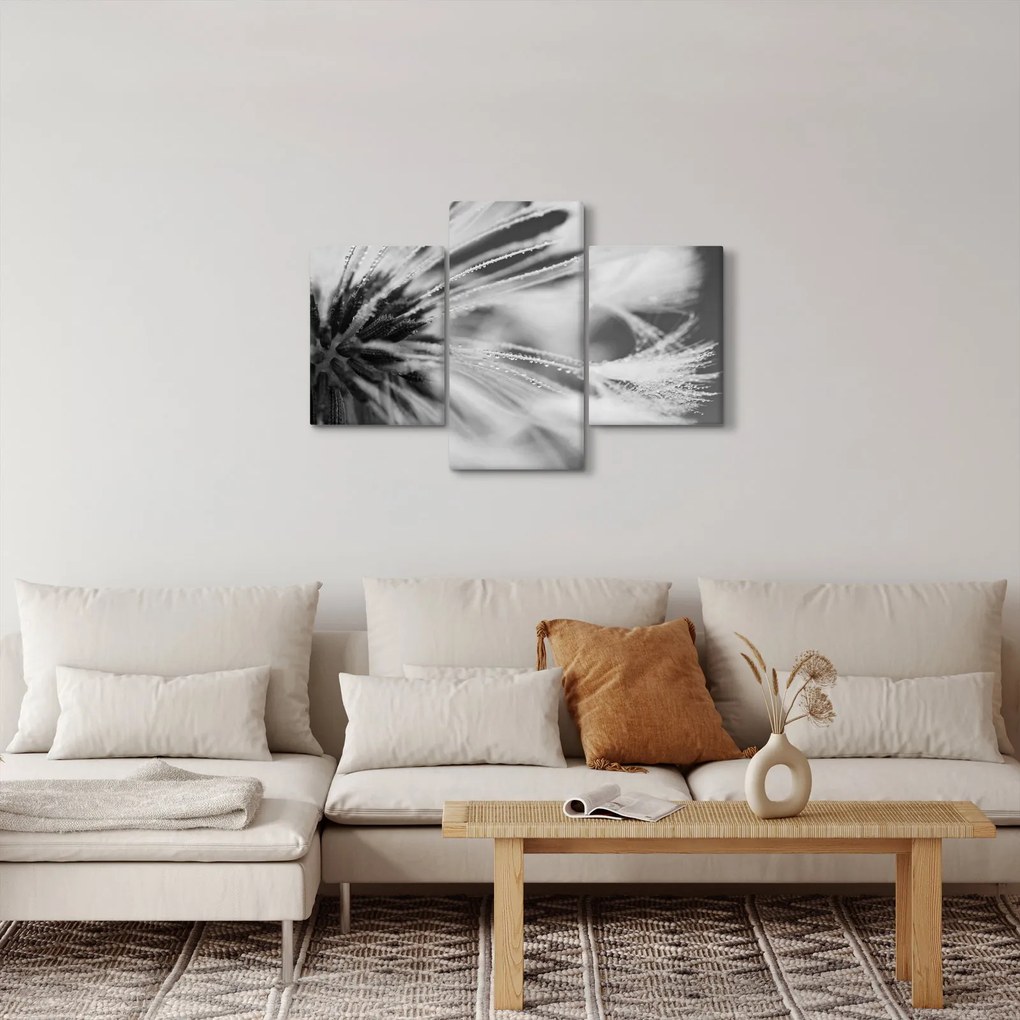 Tablou - Macro,alb-negru (90x60 cm)