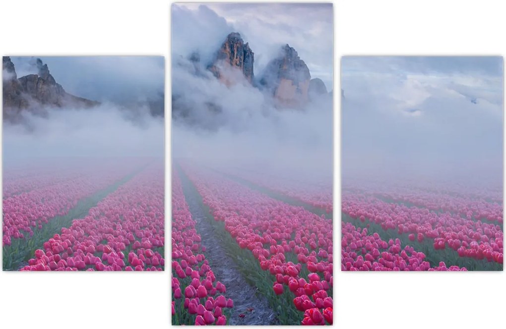 Tablou - Peisaj cu câmpuri de lalele (90x60 cm)
