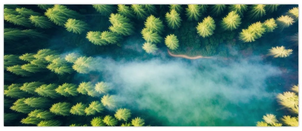 Tablou - O pădure învăluită în ceață (120x50 cm)