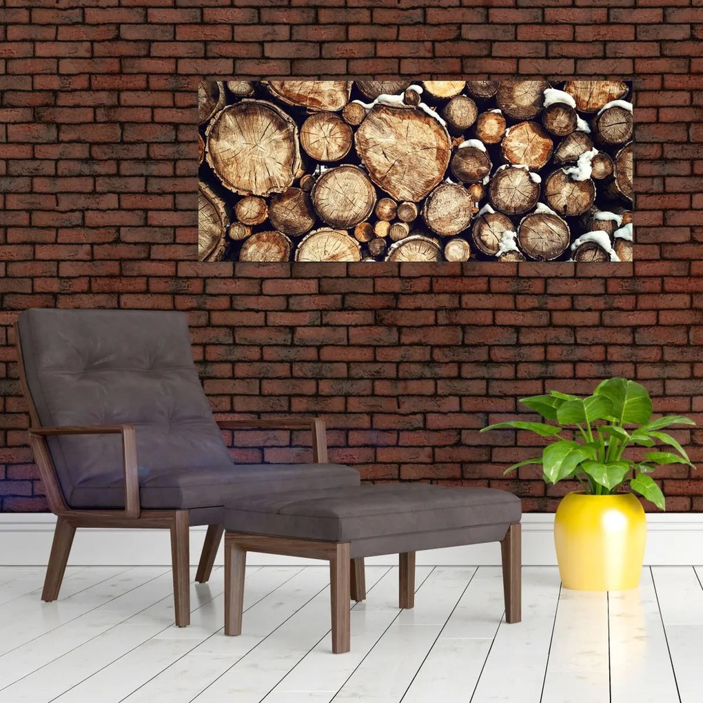 Tablou - Lemn în zăpadă (120x50 cm)