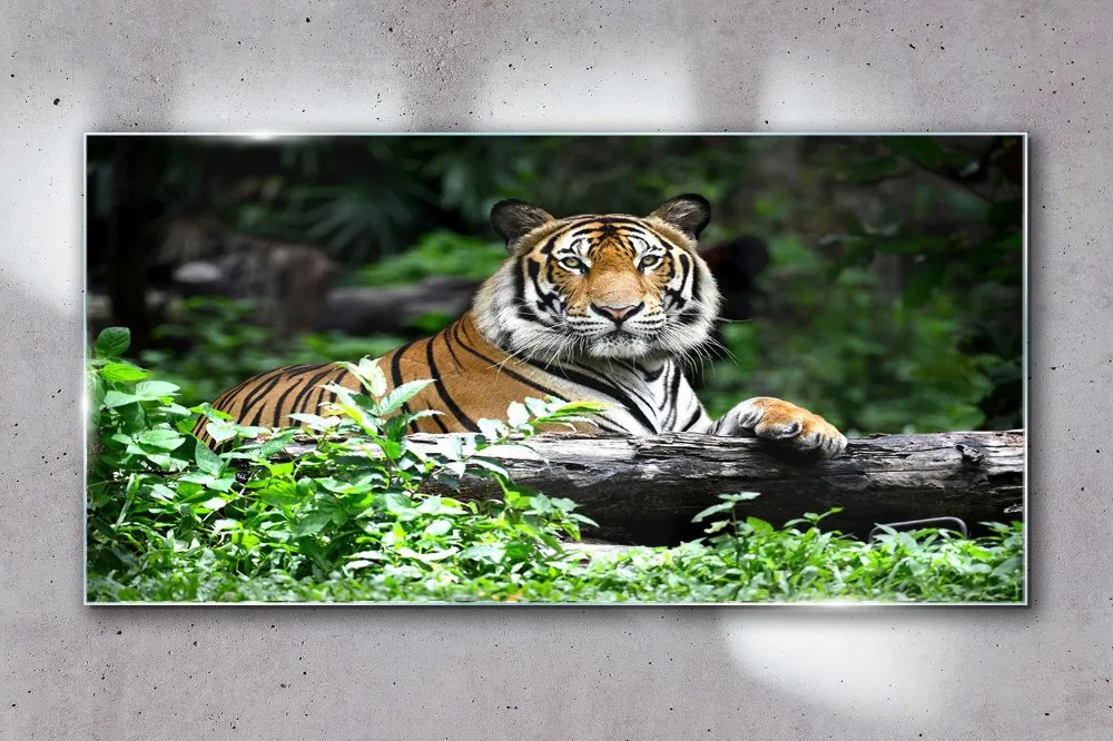 Tablou din sticla Forest Animal Cat Tiger