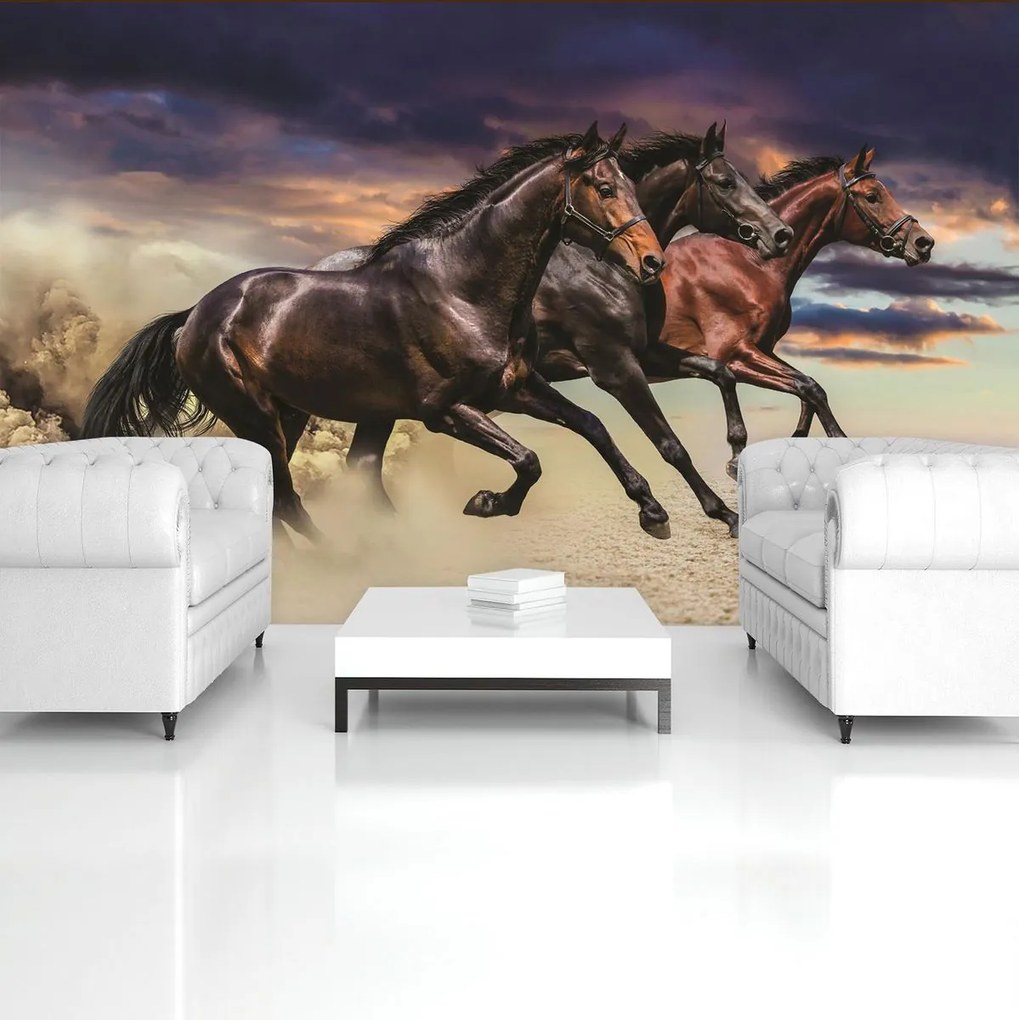 Fototapet - Cal (152,5x104 cm)