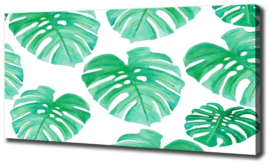 Tablouri tipărite pe pânză Monstera